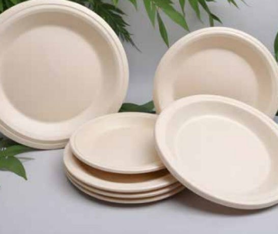 Biodegradable & Compostable Products Image